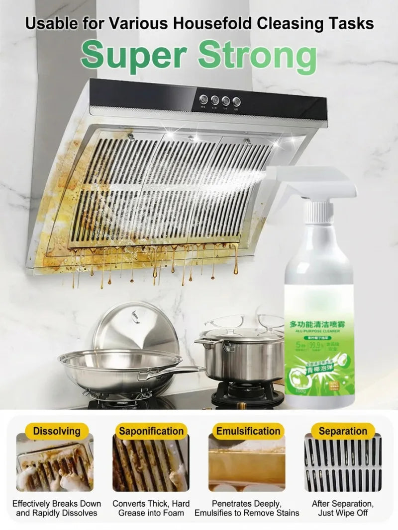 Multi-Purpose Household Cleaner Spray – Stain Remover
