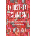 Industrial Islamism: How Authoritarian Movements Mobilize Workers - Paperback
