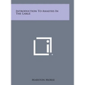 Introduction to Analysis in the Large - Hardcover