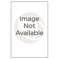 To Work and to Wed: Female Employment, Feminism, and the Great Depression