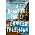 A Beautiful Family - Hardcover