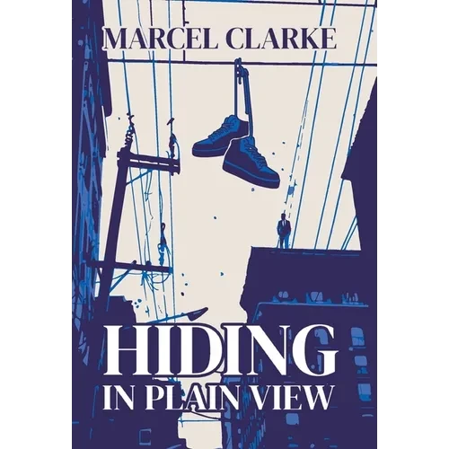 Hiding in Plain View - Hardcover