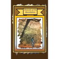 Rascals of the Revolution - Hardcover