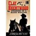 Stranger on a Black Stallion - Paperback