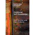 Emotional Self-Knowledge: How Affective Skills Reveal Our Values, Goals, Cares, and Concerns