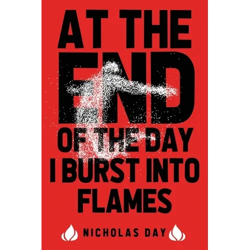At The End Of The Day I Burst Into Flames - Paperback