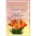 Twice in a Lifetime: A Contemporary Sweet Romance That Explores Grief, Family Relationships, and Finding Love After Loss - Hardcover
