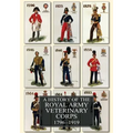 A History of the Royal Army Veterinary Corps 1796-1919 - Paperback