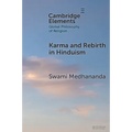 Karma and Rebirth in Hinduism - Paperback