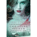 The Twilight Before Christmas - Paperback