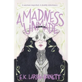A Madness Unmade - Paperback