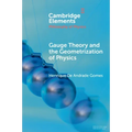 Gauge Theory and the Geometrisation of Physics - Paperback