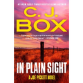 In Plain Sight - Paperback