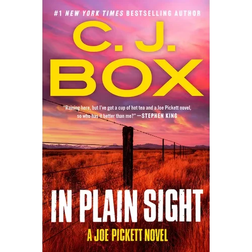 In Plain Sight - Paperback