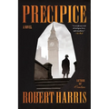 Precipice - Paperback