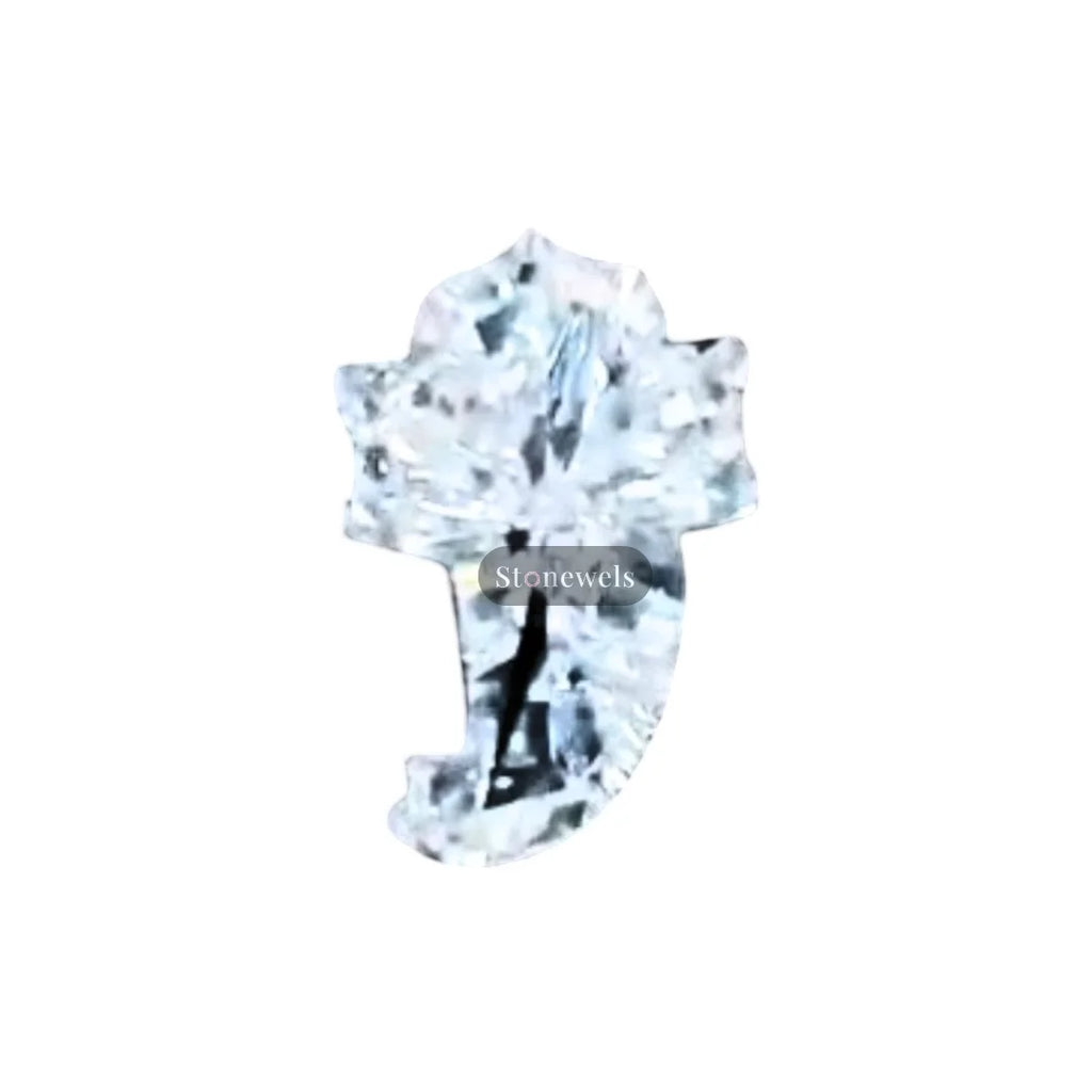 Stonewels IGI Certified Lab Grown Diamonds 1ct 4ct E Color VVS VS Clarify Cut Elephant Shape for Jewelry Making
