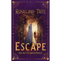 Escape: A Time Travel Romance
