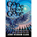 Gone Before Gone: When Mental Illness Steals Someone You Love - Hardcover