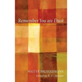 Remember You Are Dust - Paperback