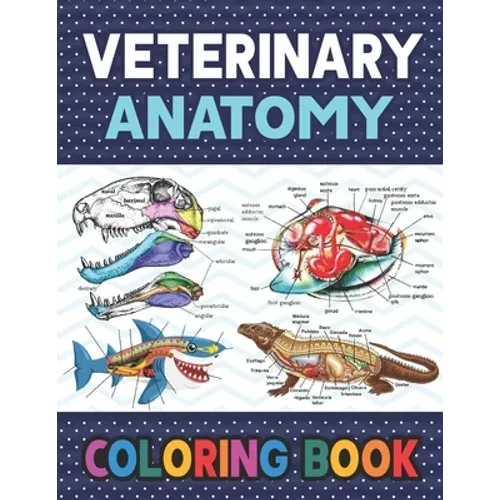 Veterinary Anatomy Coloring Book: Learn The Veterinary Anatomy With Fun & Easy. The New Surprising Magnificent Learning Structure For Veterinary Anato - Paperback