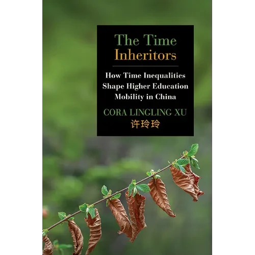 The Time Inheritors: How Time Inequalities Shape Higher Education Mobility in China - Paperback