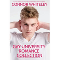 Gay University Romance Collection: 3 Sweet Gay University Romance Novellas - Paperback
