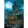 In the Shadow of the Sanctum - Hardcover