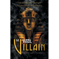 The Vital Villain: Adversity and Triumph for the Glory of the Story - Paperback