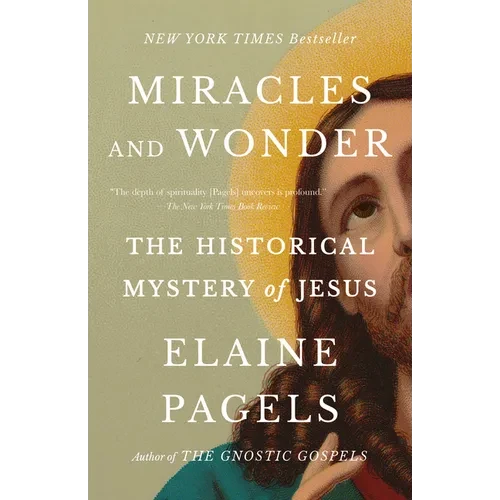 Miracles and Wonder: The Historical Mystery of Jesus - Paperback