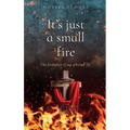 It's just a small fire: The formation of my spiritual life - Hardcover