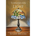 Turning on the Light: My Mysterious Illness and the Year that Transformed Me - Paperback
