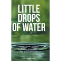 Little Drops of Water: Foundations of Personal Financial Management for Wealth Creation - Hardcover