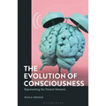 The Evolution of Consciousness: Representing the Present Moment - Paperback
