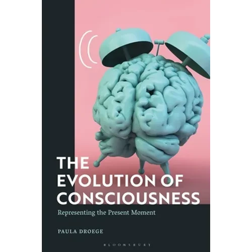 The Evolution of Consciousness: Representing the Present Moment - Paperback