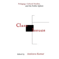 Class Issues: Pedagogy, Cultural Studies, and the Public Sphere - Hardcover