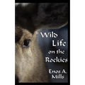 Wild Life on the Rockies - Paperback