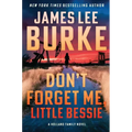 Don't Forget Me, Little Bessie - Paperback