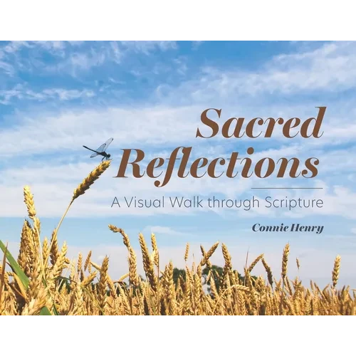 Sacred Reflections: A Visual Walk through Scripture - Paperback