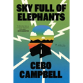 Sky Full of Elephants - Library Binding
