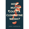 How Much Could a Clementine Weigh? - Hardcover