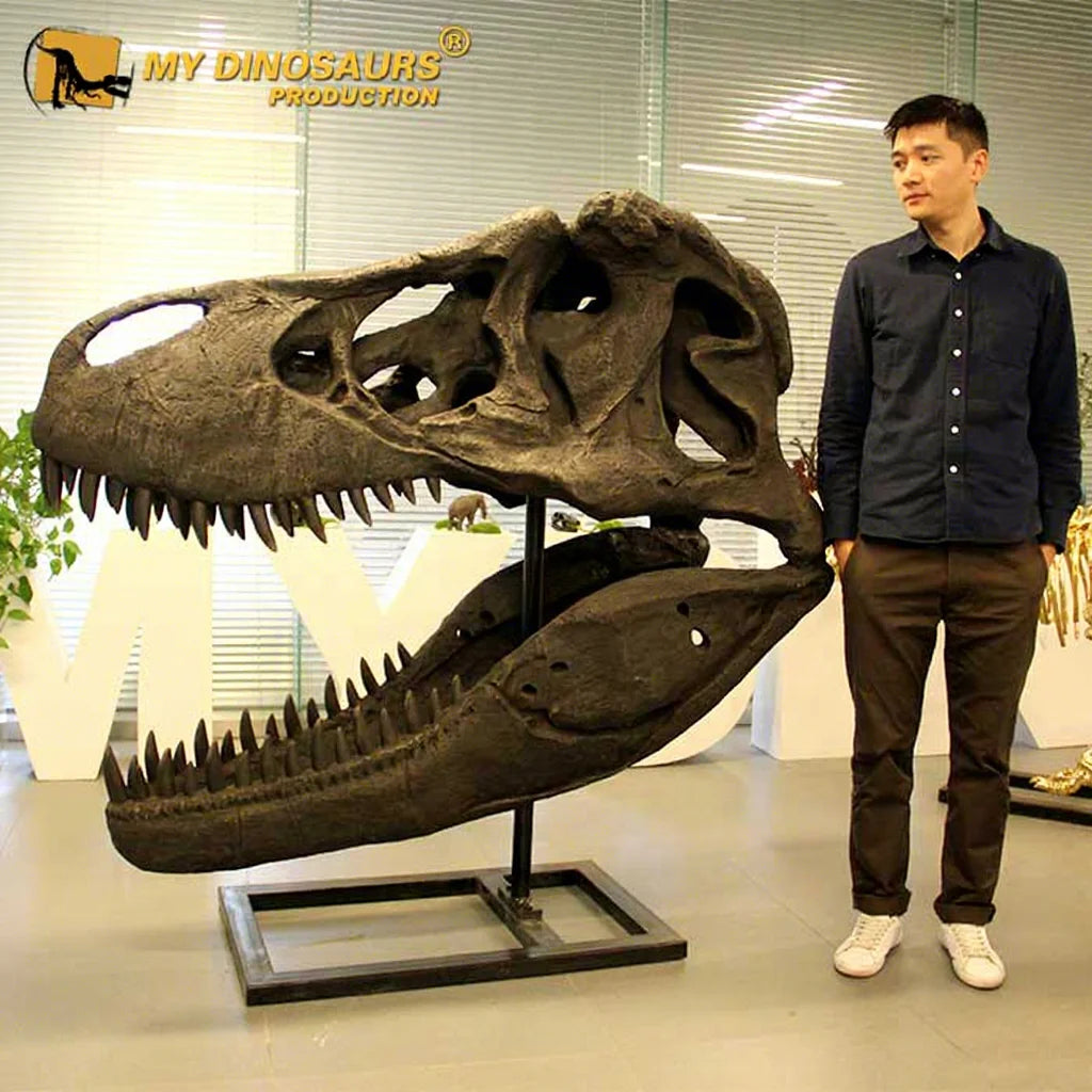 My Dino Artificial Life Size Dinosaur T-rex Head Skeleton