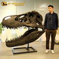 My Dino Artificial Life Size Dinosaur T-rex Head Skeleton