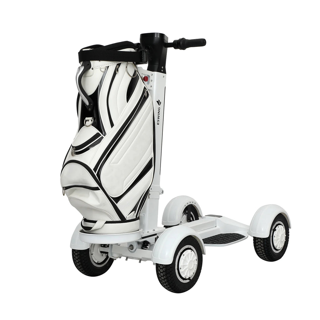 2000W Single Electric Golf Cart New Product Mobility Scooter with 4 Wheel Dual Drive Chariot 48v Battery Voltage