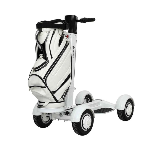 2000W Single Electric Golf Cart New Product Mobility Scooter with 4 Wheel Dual Drive Chariot 48v Battery Voltage