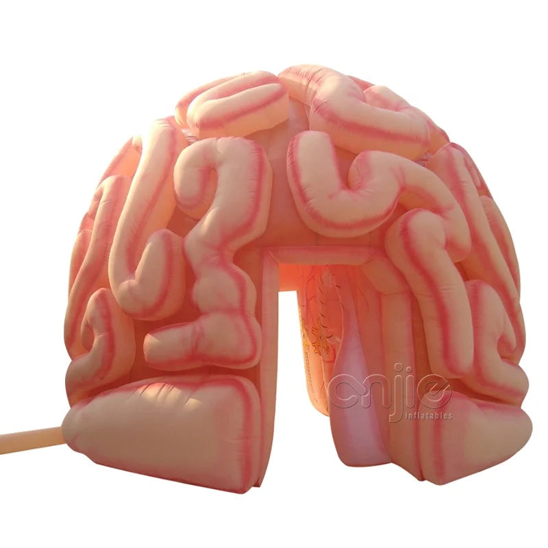 Medical Inflatables Exhibit Inflatable Human Organs Educational Brain Models