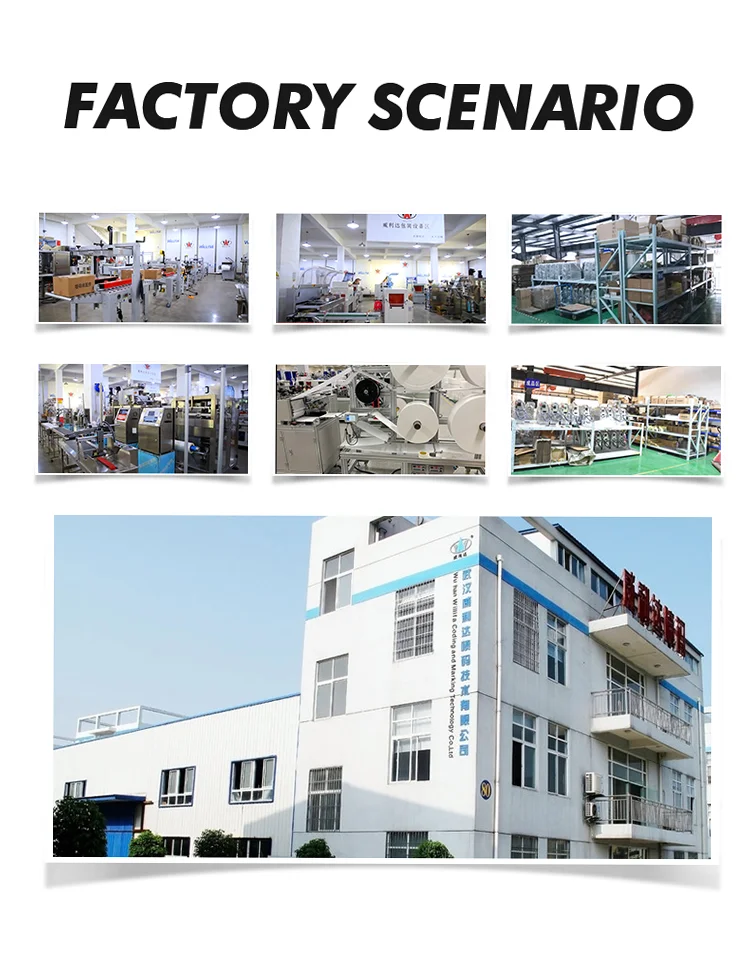 Date LOGO QR Code Inkjet Printer for FR800 FR-900 Band Sealer Aluminum Foil Bags Plastic Bags Sealing Machine