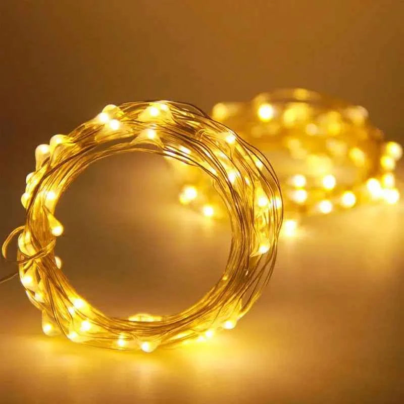 Fairy Lights AA Battery Powered 1M 10 2M 20 3M 30 5M 50 10M 100Leds Silver Led Copper Wire String Light Decorative Fairy Lights