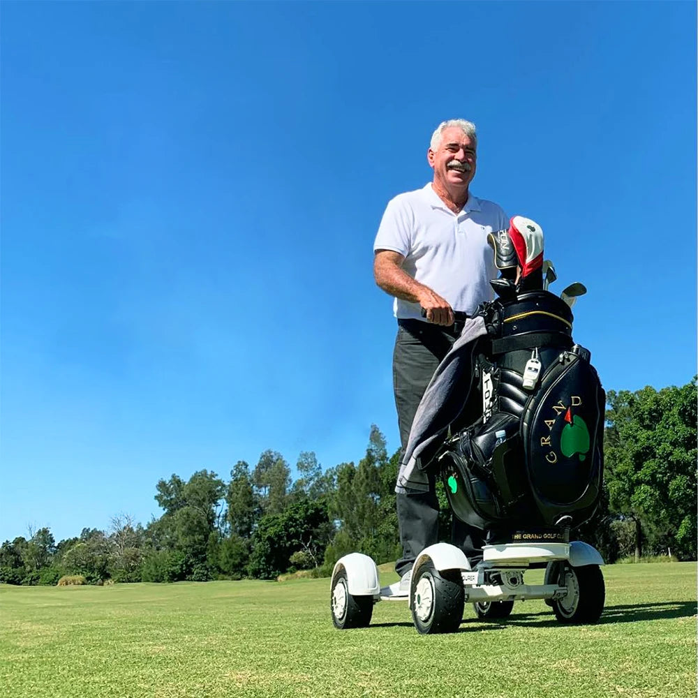 2000W Single Electric Golf Cart New Product Mobility Scooter with 4 Wheel Dual Drive Chariot 48v Battery Voltage