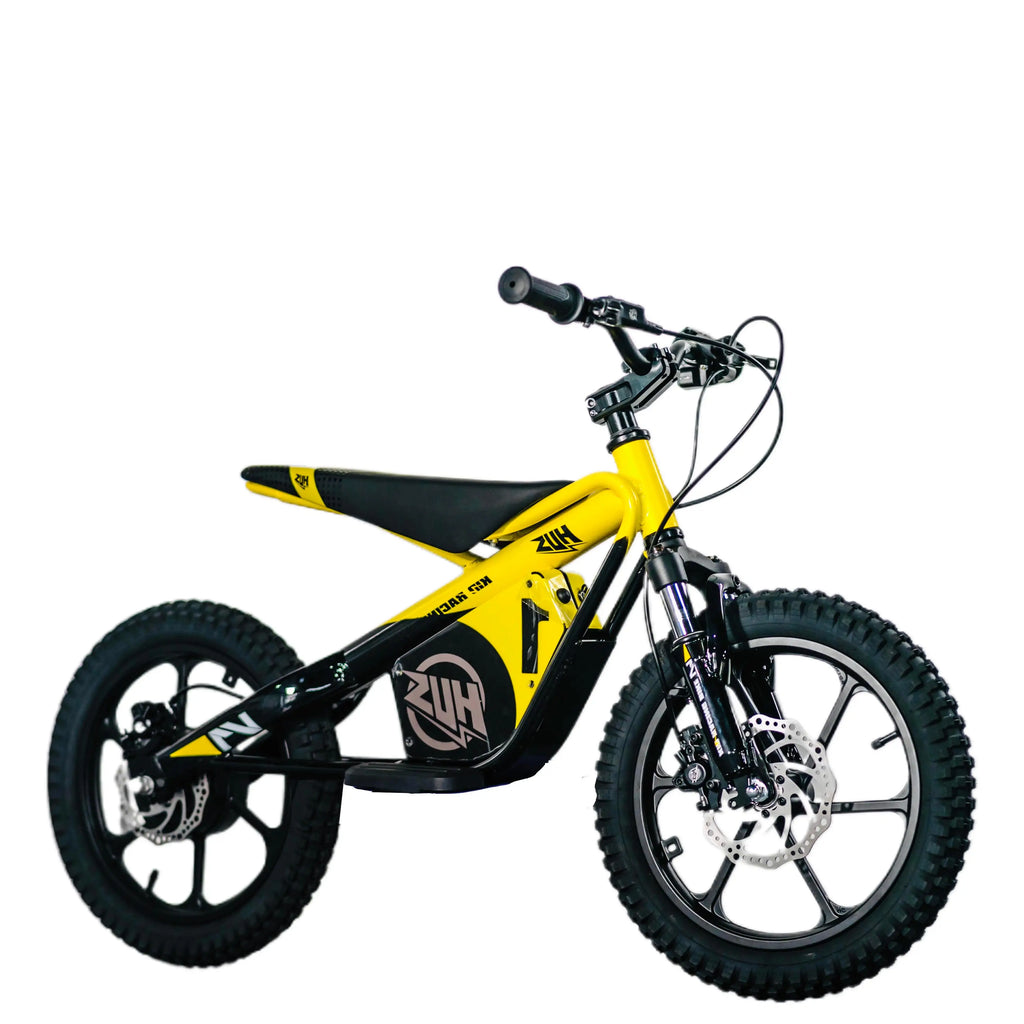 16 Inch Kids Electric Dirt Bike 653W Brushless Motor 33KM/H High Speed 2-Speed Off-Road E-Bike