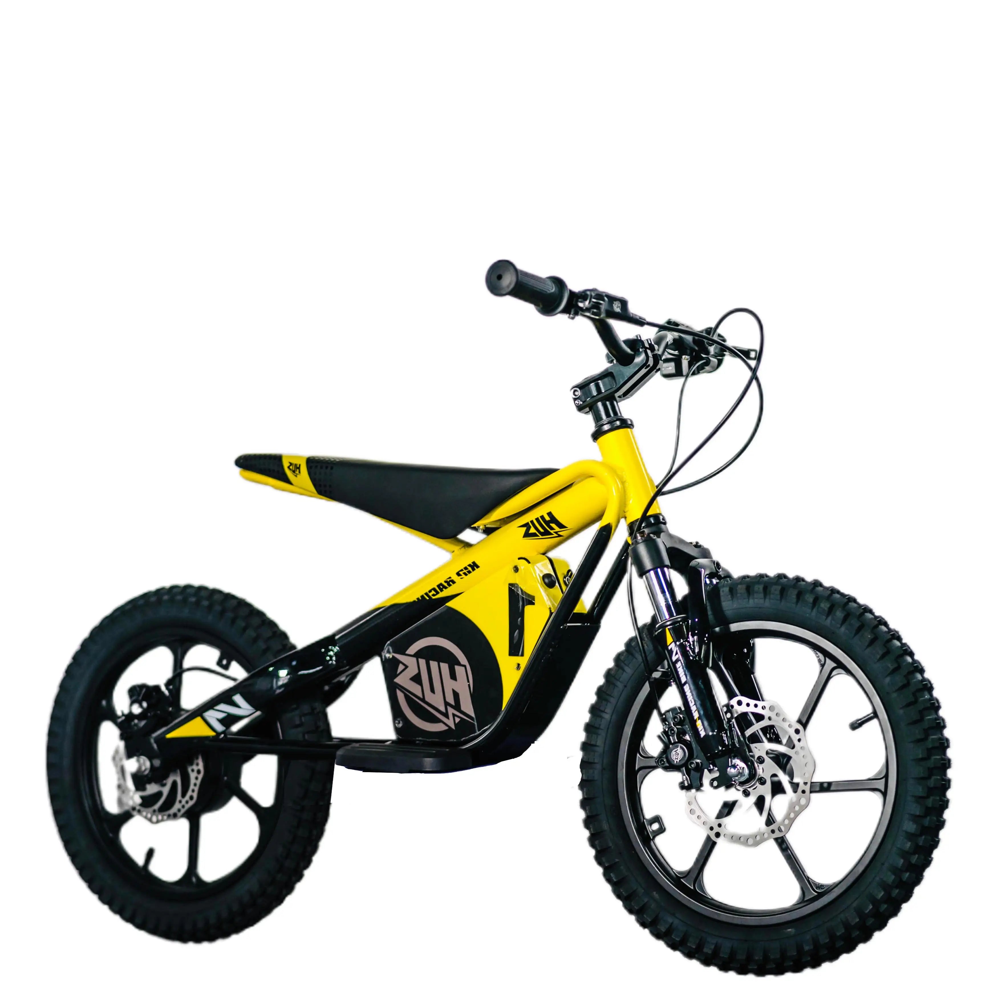 16 Inch Kids Electric Dirt Bike 653W Brushless Motor 33KM/H High Speed 2-Speed Off-Road E-Bike